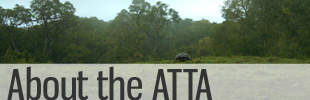 About the ATTA