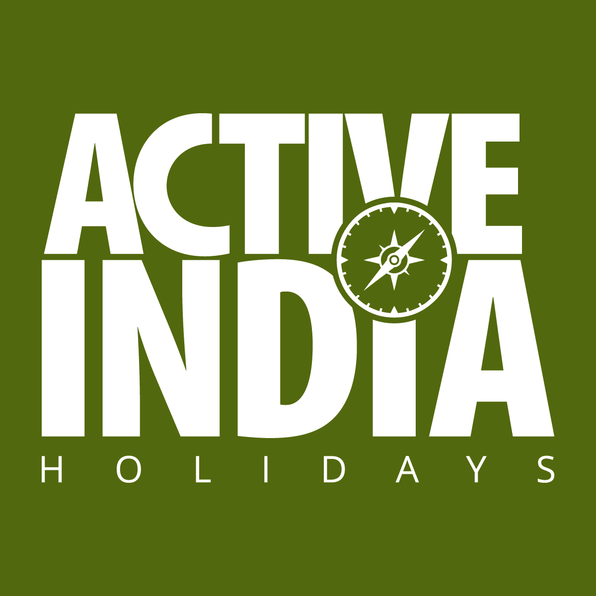 Active India Holidays Pvt. Ltd.