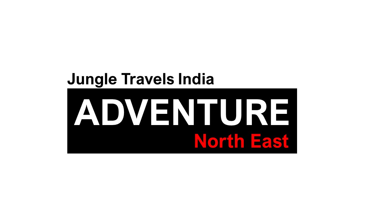Jungle Travels India